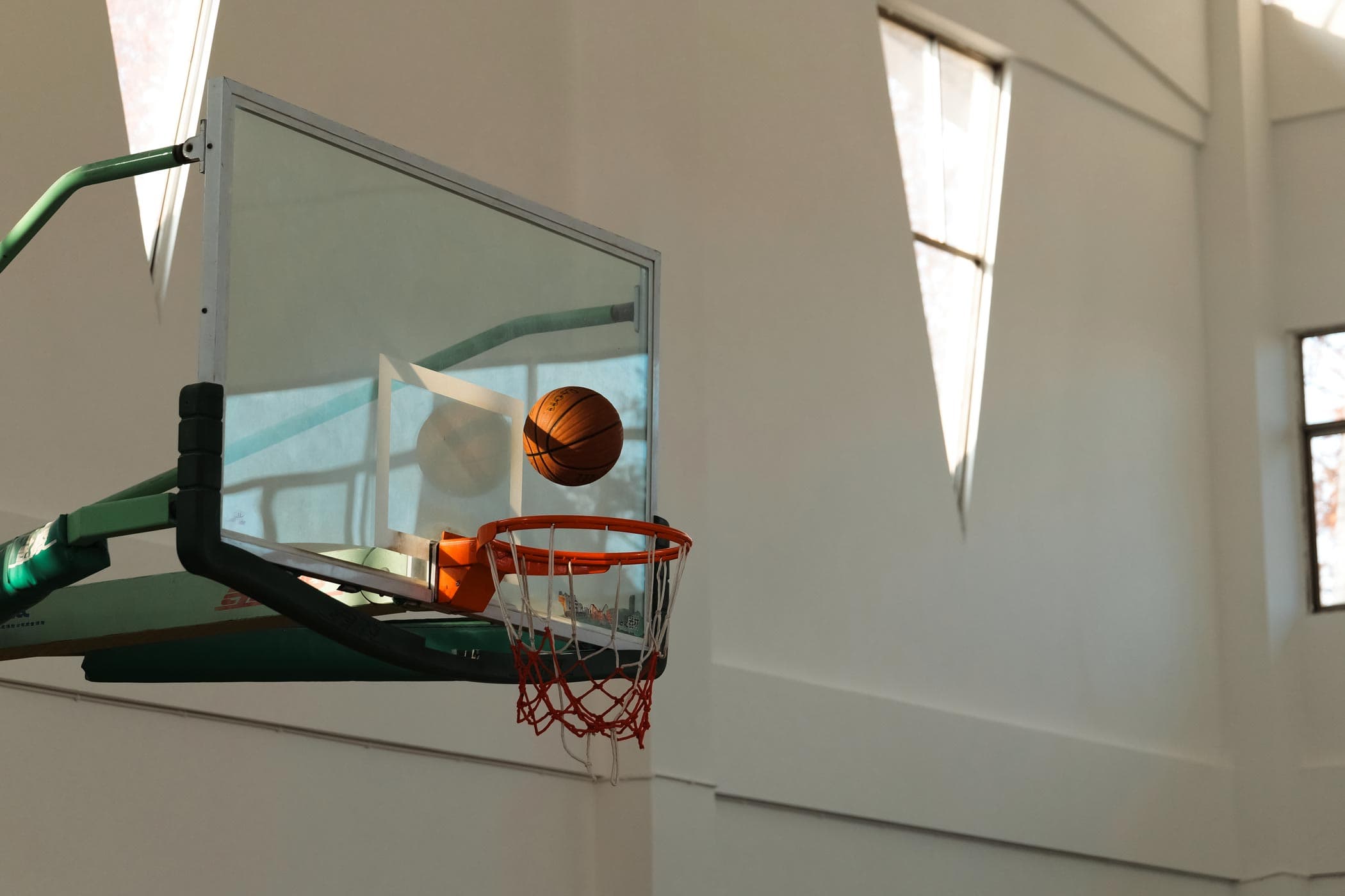 Recreational Partner